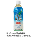 ジェイエイフーズおおいた 塩とカボス 495ml ペットボトル 1セット(48本:24本×2ケース)