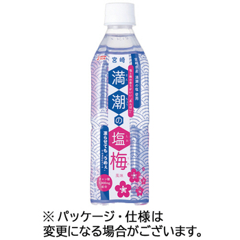 宮崎県農協果汁 サンA 満潮の塩梅 490ml ペットボトル 1ケース(24本)
