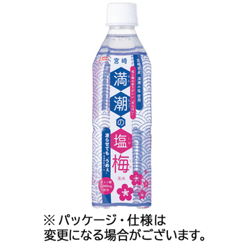 宮崎県農協果汁 サンA 満潮の塩梅 490mL ペットボトル 1ケース(24本)