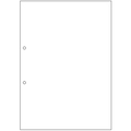 TANOSEE マルチプリンタ帳票(FSC森林認証紙) A4白紙 2穴 1箱(500枚)