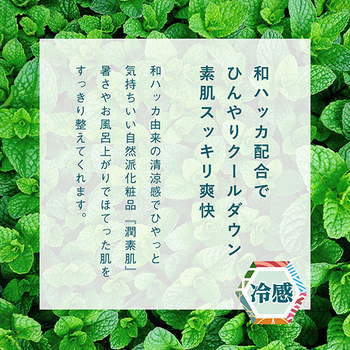 コスメテックスローランド 潤素肌 薬用和ハッカ水ミスト 250ml 1本