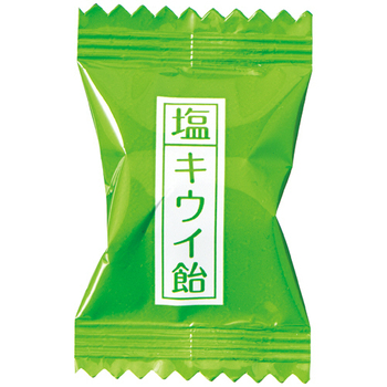 加藤製菓 塩キウイ飴 58g 1パック