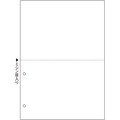 TANOSEE マルチプリンタ帳票(FSC森林認証紙) A4白紙 2面2穴 1箱(500枚)