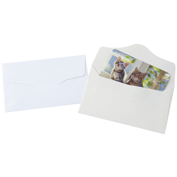 TANOSEE 名刺型封筒 112×70mm タント 116.3g 1セット(100枚:10枚×10パック)