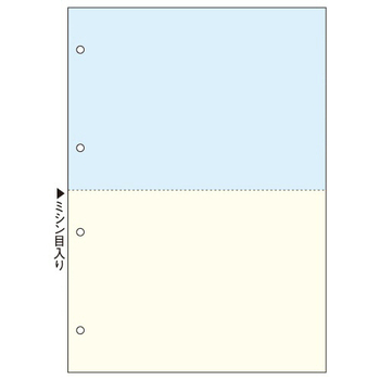 TANOSEE マルチプリンタ帳票(FSC森林認証紙) 複写タイプ A4 ノーカーボン カラー 2面 4穴 1箱(500枚:100枚×5冊)