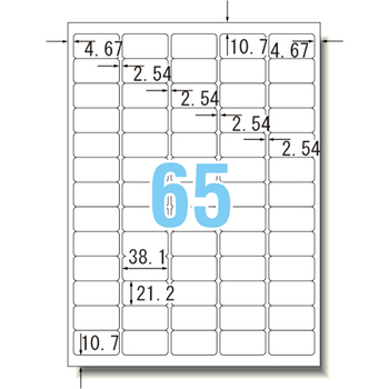 コクヨ モノクロレーザー&モノクロコピー用 紙ラベル(スペシャルラベル) A4 65面 38.1×21.2mm LBP-7651N 1冊(10シート)