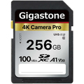 Gigastone SDXCカード 256GB V30 UHS-1 U3 A1 GJSX-256GV3A1 1枚