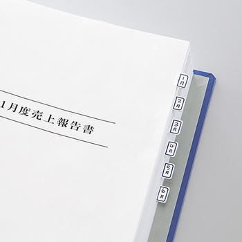 コクヨ タックインデックス リサイクル可能 中 23×29mm 赤枠 タ-E21NR 1パック(120片:12片×10シート)