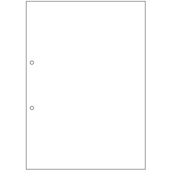TANOSEE マルチプリンタ帳票(FSC森林認証紙) A4白紙 2穴 1セット(1000枚:500枚×2箱)