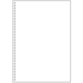 TANOSEE マルチプリンタ帳票(FSC森林認証紙) A4白紙 30穴 1セット(1000枚:500枚×2箱)