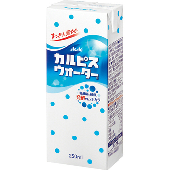 エルビー カルピスウォーター 250mL 紙パック 1セット(72本:24本×3ケース)