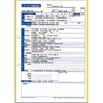 ヒサゴ マルチプリンタ帳票 複写タイプ A4 ノーカーボン イエローライン 2穴 BPC2201 1冊(100枚)