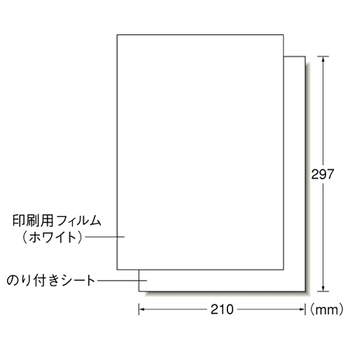 エーワン 屋外でも使えるサインラベルシール[レーザープリンタ] 粗面に貼れるタイプ ツヤ消しフィルム・ホワイト A4 ノーカット 31043 1冊(各5シート)