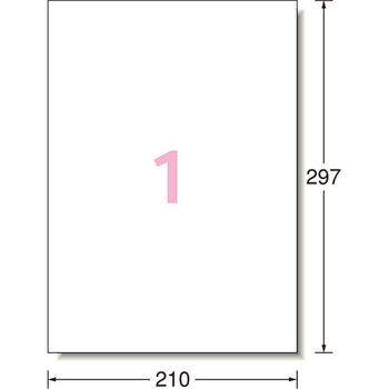 エーワン ラベルシール[インクジェット] 超耐水光沢紙・ホワイト A4 ノーカット 64201 1冊(10シート)