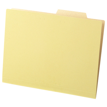 TANOSEE 個別フォルダー(クラフト厚紙タイプ) A4 1セット(200冊:50冊×4パック)