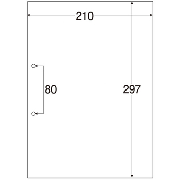 TANOSEE マルチプリンタ帳票(スーパーエコノミー) A4 白紙 2穴 1セット(500枚:100枚×5冊)