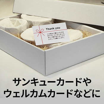 エーワン マルチカード レーザープリンタ専用紙 白無地 A4判 10面 名刺サイズ 51282 1冊(100シート)