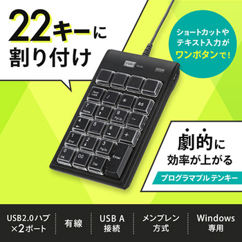 サンワサプライ プログラマブルテンキー(USB2.0ハブ2ポート付) ブラック NT-19UH2BKN2 1個