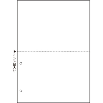 TANOSEE マルチプリンタ帳票(スーパーエコノミー) A4 白紙 2面 2穴 1セット(500枚:100枚×5冊)