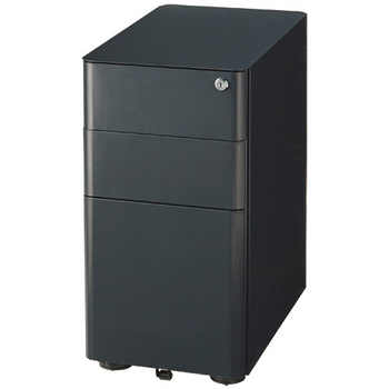 エランサ (N)スリムワゴン ブラック(組立設置込) SWI-033BK 1台
