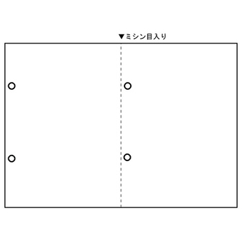 日本法令 源泉徴収票専用白紙 A4判カット紙 2穴あり TP-1R04 1箱(500枚)