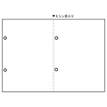 日本法令 源泉徴収票専用白紙 A4判カット紙 2穴あり TP-1R04 1箱(500枚)