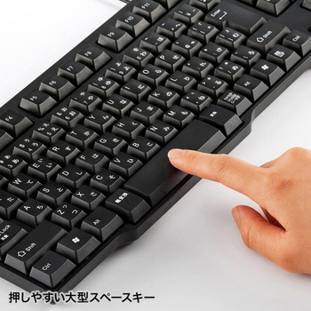 サンワサプライ USBキーボード ブラック SKB-L1UBKN 1台