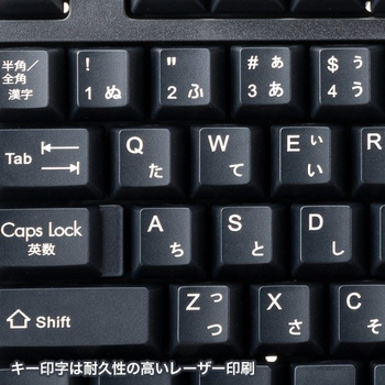 サンワサプライ USBキーボード ブラック SKB-L1UBKN 1台