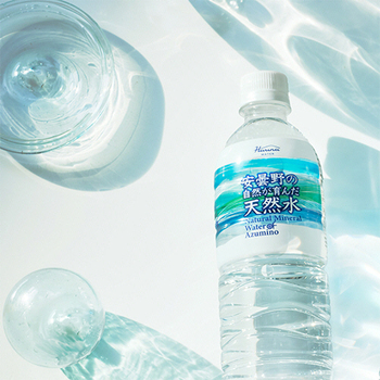 ハルナプロデュース 安曇野の自然が育んだ天然水 550mL ペットボトル 1セット(96本:24本×4ケース)