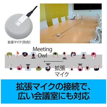 ソースネクスト Meeting Owl 3 拡張マイク EXM100 0000338760 1台