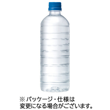 キリンビバレッジ 自然が磨いた天然水 ラベルレス 600mL ペットボトル 1セット(48本:24本×2ケース)