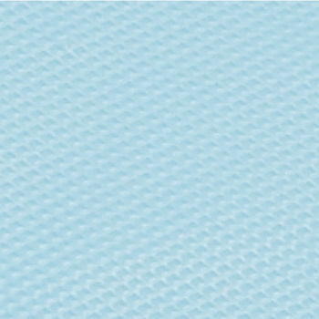 川西工業 ポリエチ袖付エプロン フリーサイズ ブルー 4442 1セット(200枚:10枚×20箱)