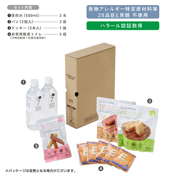 キングジム 差し替え式 災害対策セット(待機-帰宅)用 差し替えボックス STKS-100-BX 1箱