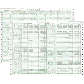 東京ビジネス 合計残高試算表 (一般・科目印刷) CG100600 1冊(50セット)