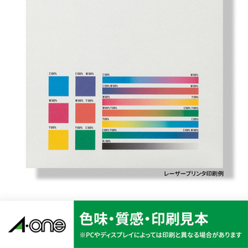 エーワン CD/DVDラベルシール[レーザープリンタ] 強粘着タイプ マット紙・ホワイト 2面 内径・大 29141 1冊(10シート)