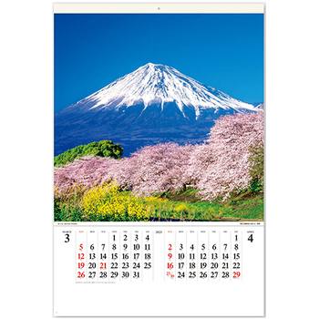 九十九商会 壁掛けカレンダー フィルム 富士山 2023年版 SB-250-2023 1セット(5冊)