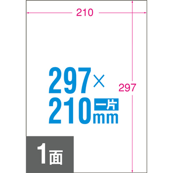 エーワン ラベルシール[レーザープリンタ] 水に強いタイプ マット紙・ホワイト A4 ノーカット 28391 1冊(20シート)