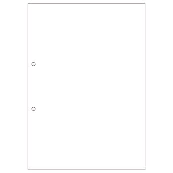 ヒサゴ マルチプリンタ帳票(FSC森林認証紙) A4 白紙 2穴 FSC2001 1セット(500枚:100枚×5冊)