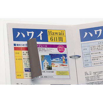 エーワン ラベルシール[プリンタ兼用] 下地がかくせる修正タイプ マット紙・ホワイト A4判 ノーカット 31281 1冊(12シート)