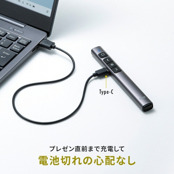 サンワサプライ グリーンレーザーポインター(パワーポイント操作対応・充電式) LP-RF117GM 1個