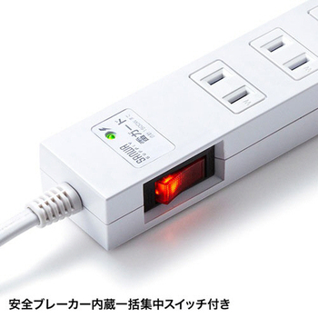 サンワサプライ 雷ガードタップ 2P・10個口 1m TAP-SP217-1 1個