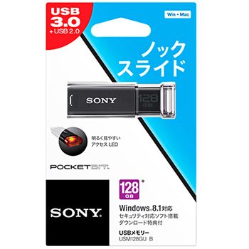 ソニー USBメモリー ポケットビット Uシリーズ 128GB ブラック USM128GU B 1個