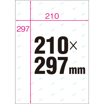 ヒサゴ 抗菌紙ラベル A4 ノーカット OPK862 1セット(100シート:20シート×5冊)