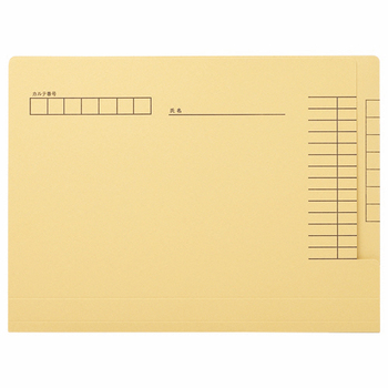 ライオン事務器 カルテフォルダー ペーパータイプ A4 KF-1K-50P 1パック(50冊)