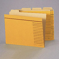 ライオン事務器 カットフォルダー A4判 A4-4F-R-20P 1パック(20冊)