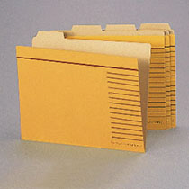 ライオン事務器 カットフォルダー B5判 B5-4F-R-20P 1パック(20冊)