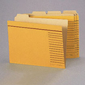 ライオン事務器 カットフォルダー B5判 B5-4F-R-20P 1パック(20冊)