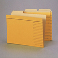 ライオン事務器 カットフォルダー A5判 A5-3F-R-30P 1パック(30冊)