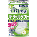 小林製薬 香り実感パーシャルデント グリーンアップルの香り 1箱(96錠)