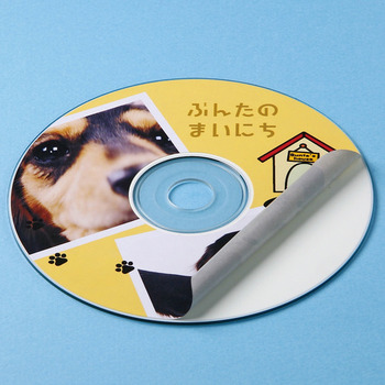 サンワサプライ インクジェット透けないCDラベル 内径41mm スーパーファイン つやなしマット LB-CDR003N 1冊(20シート)